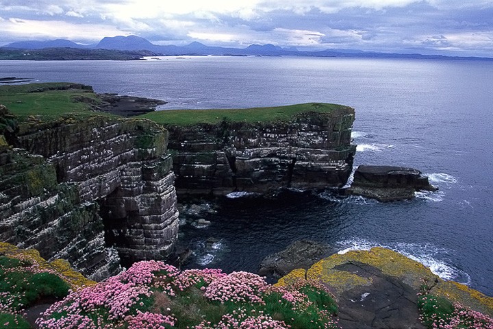 Scogliere isola di Handa, Scozia: Scogliere isola di Handa, Scozia