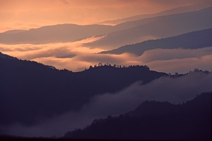 Alba con nebbia al Passo Consuma, Toscana: Alba con nebbia al Passo Consuma, Toscana