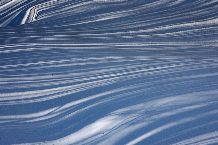 Riflessi sulla neve, P.N. Foreste Casentinesi: Riflessi sulla neve, P.N. Foreste Casentinesi