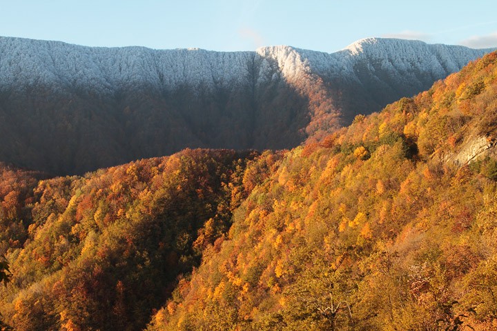 Autunno-Inverno PNF Casentinesi: Autunno-Inverno PNF Casentinesi