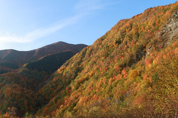 Autunno Foreste Casentinesi: Autunno Foreste Casentinesi