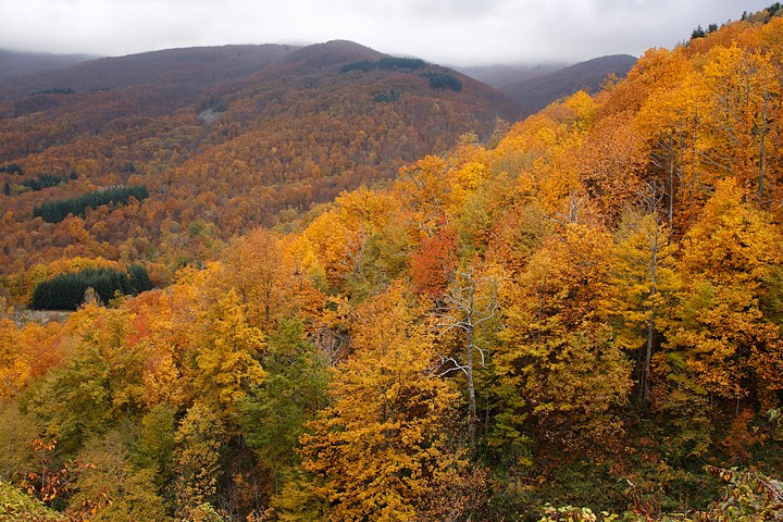 Autunno Monti del Pratomagno: Autunno Monti del Pratomagno