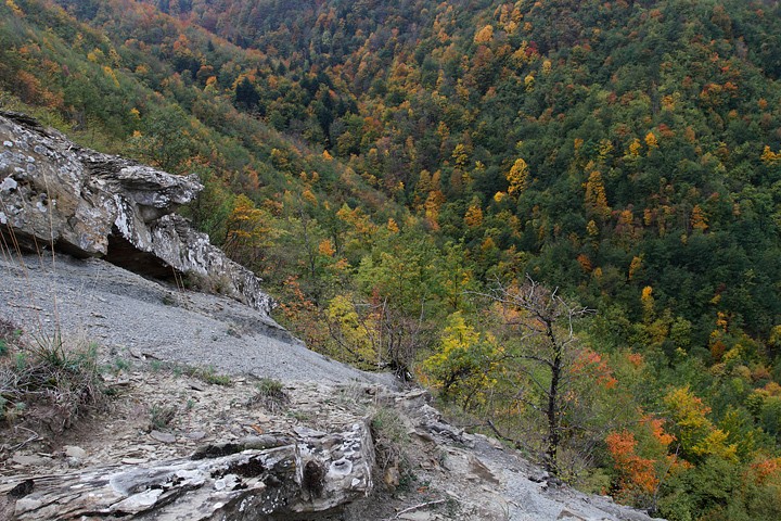 Autunno P.N.F. Casentinesi: Autunno P.N.F. Casentinesi