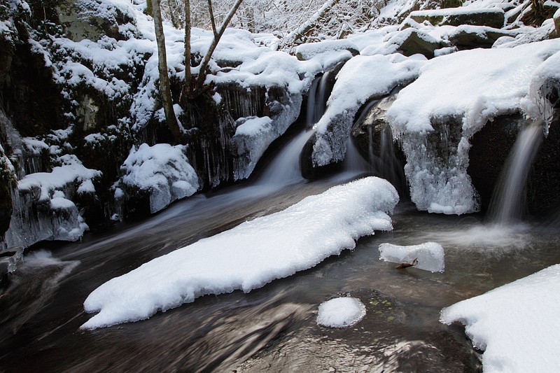 Ghiaccio e neve Vallombrosa: Ghiaccio e neve Vallombrosa