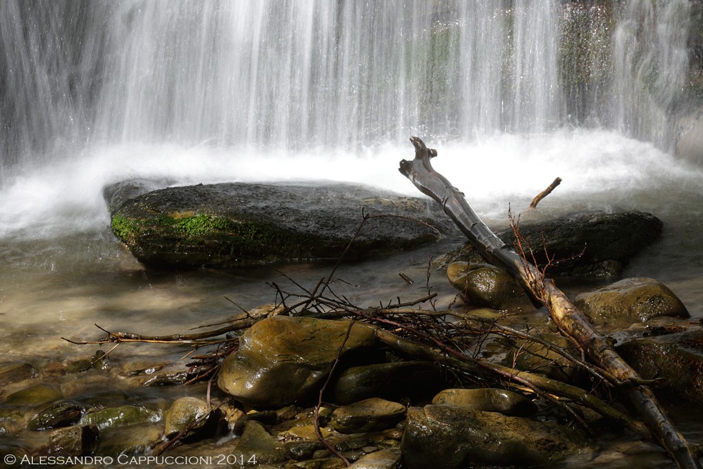 Acqua, Foreste Casentinesi: Acqua, Foreste Casentinesi