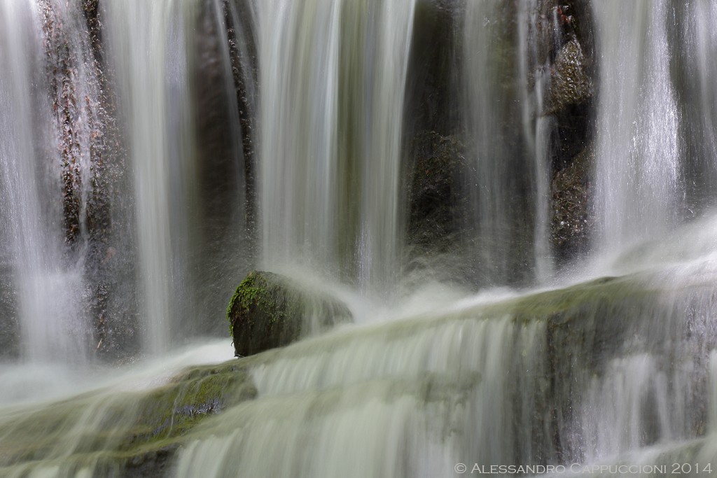 Acqua, Foreste Casentinesi: Acqua, Foreste Casentinesi