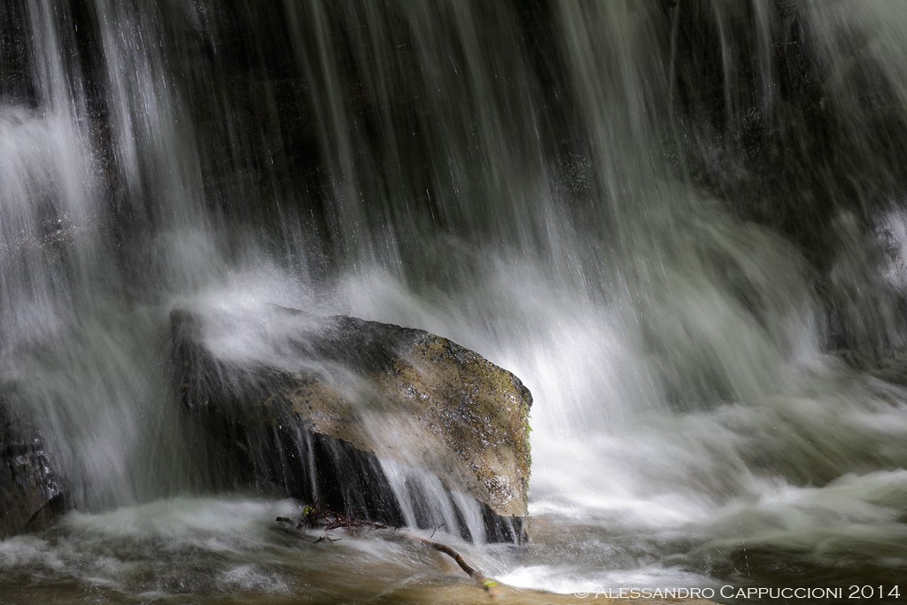 Acqua, Foreste Casentinesi: Acqua, Foreste Casentinesi