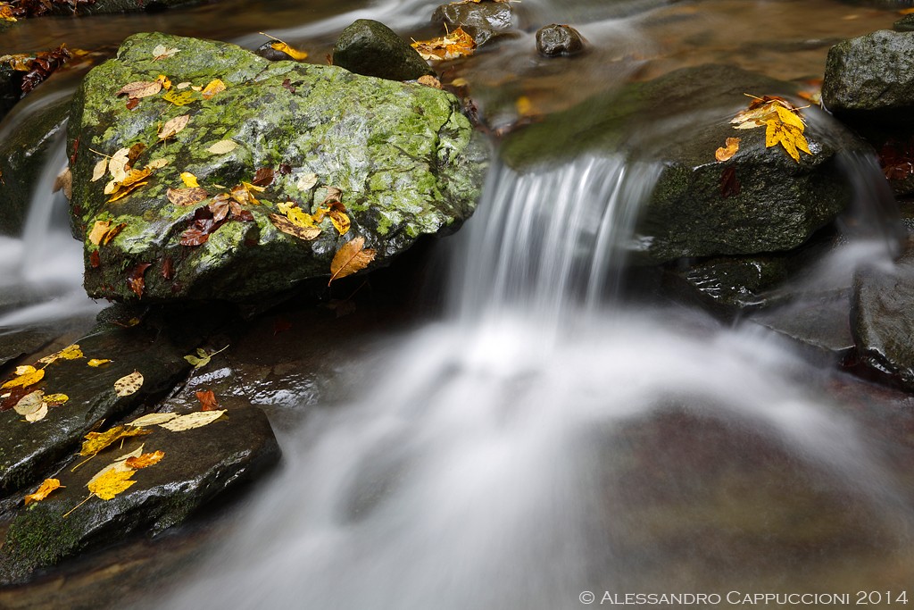 Acqua e colori Autunnali: Acqua e colori Autunnali