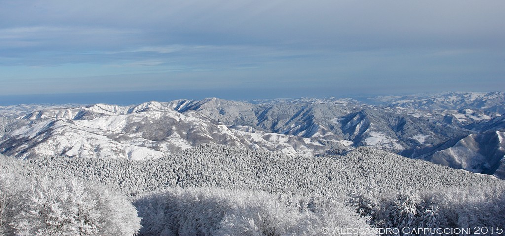 Inverno Foreste Casentinesi: Inverno Foreste Casentinesi