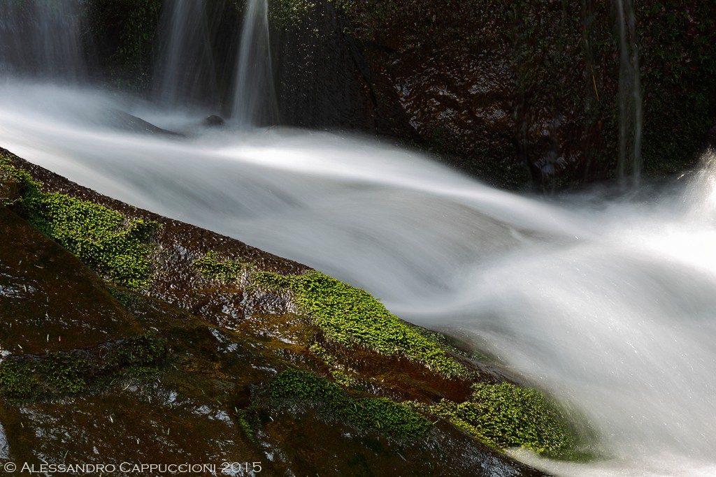 Acqua, Foresta di Vallombrosa: Acqua, Foresta di Vallombrosa