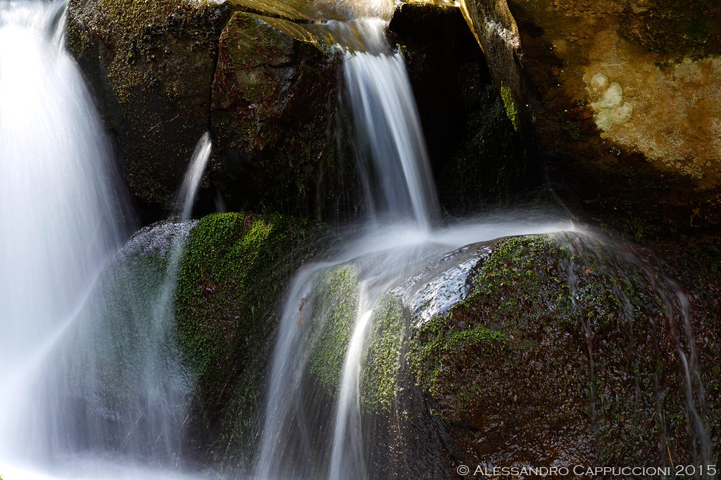 Acqua, Foresta di Vallombrosa: Acqua, Foresta di Vallombrosa