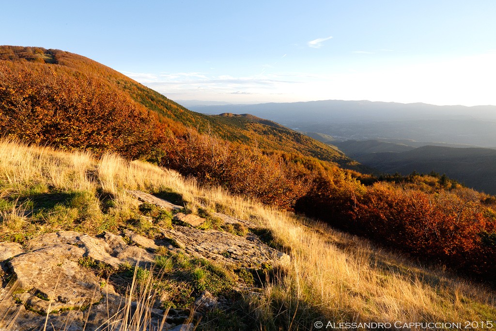 Autunno, Foreste Casentinesi: Autunno, Foreste Casentinesi