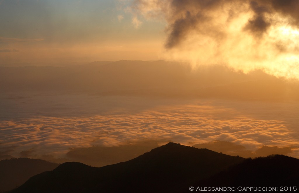 Nebbia nella luce del tramonto: Nebbia nella luce del tramonto