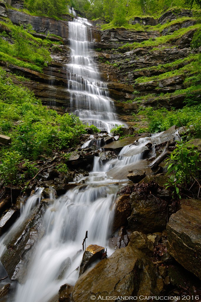 Acqua (Foreste Casentinesi): Acqua (Foreste Casentinesi)