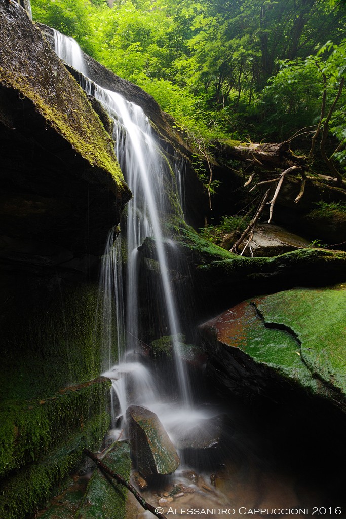 Acqua (Foreste Casentinesi): Acqua (Foreste Casentinesi)