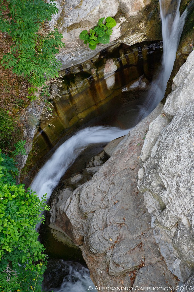 Acqua (Foreste Casentinesi): Acqua (Foreste Casentinesi)