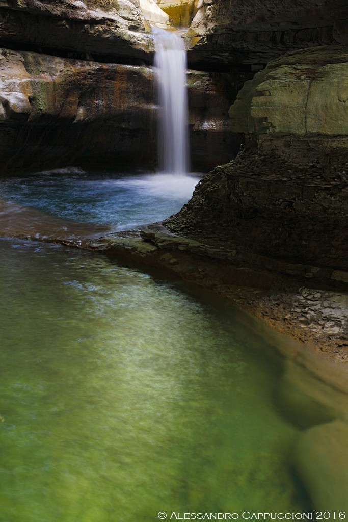 Acqua (Foreste Casentinesi): Acqua (Foreste Casentinesi)