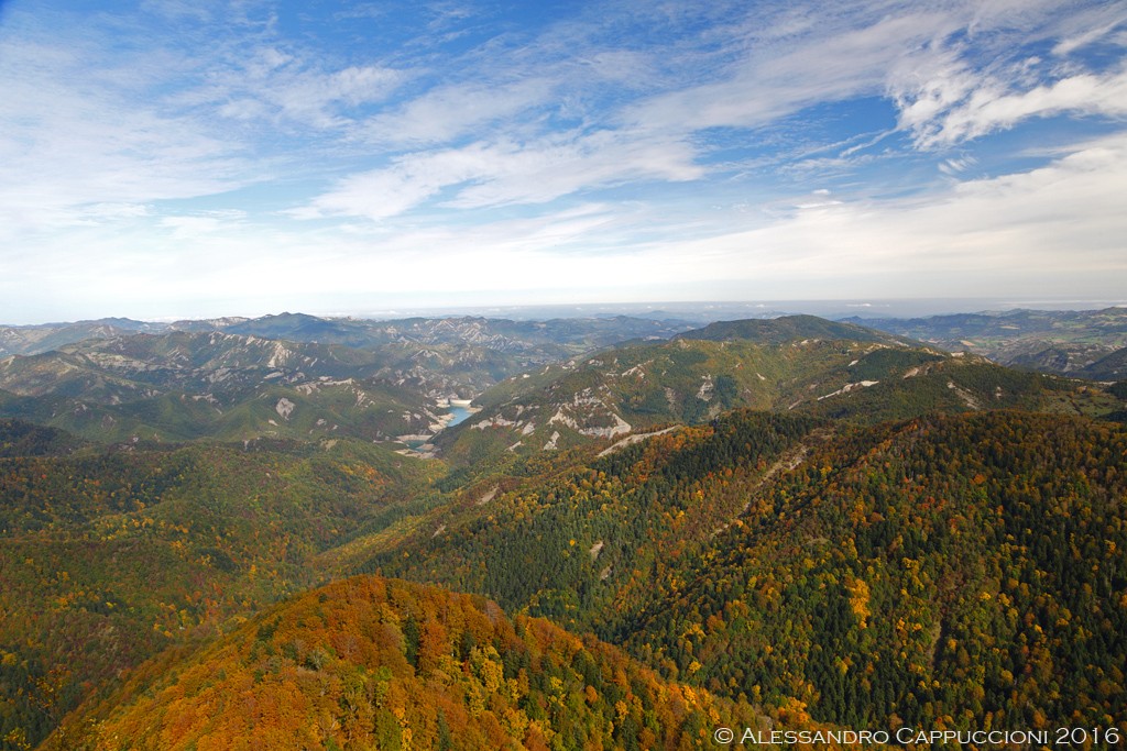 Autunno, Foreste Casentinesi: Autunno, Foreste Casentinesi