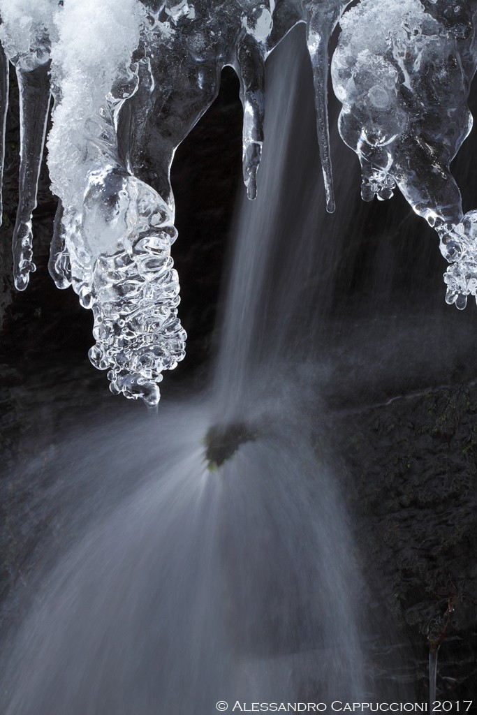 Acqua e ghiaccio, Vallombrosa: Acqua e ghiaccio, Vallombrosa