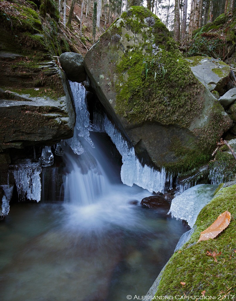 Acqua e ghiaccio, Vallombrosa: Acqua e ghiaccio, Vallombrosa