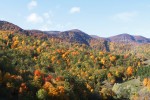 Autunno Foreste Casentinesi ,Autunno Foreste Casentinesi