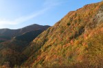 Autunno Foreste Casentinesi ,Autunno Foreste Casentinesi