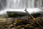 Acqua, Foreste Casentinesi ,Acqua, Foreste Casentinesi