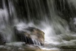 Acqua, Foreste Casentinesi ,Acqua, Foreste Casentinesi