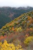 Autunno, Foreste Casentinesi ,Autunno, Foreste Casentinesi