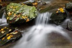 Acqua e colori Autunnali ,Acqua e colori Autunnali