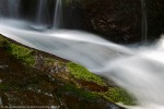 Acqua, Foresta di Vallombrosa ,Acqua, Foresta di Vallombrosa