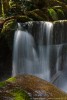 Acqua, Foresta di Vallombrosa ,Acqua, Foresta di Vallombrosa