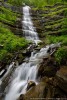 Acqua (Foreste Casentinesi) ,Acqua (Foreste Casentinesi)