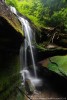 Acqua (Foreste Casentinesi) ,Acqua (Foreste Casentinesi)