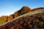 Autunno, Foreste Casentinesi ,Autunno, Foreste Casentinesi