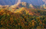 Autunno, Foreste Casentinesi ,Autunno, Foreste Casentinesi