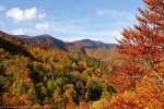 Autunno, Foreste Casentinesi ,Autunno, Foreste Casentinesi