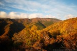 Autunno, Foreste Casentinesi ,Autunno, Foreste Casentinesi