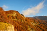 Autunno, Foreste Casentinesi ,Autunno, Foreste Casentinesi