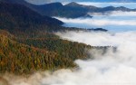 Autunno, Foreste Casentinesi ,Autunno, Foreste Casentinesi